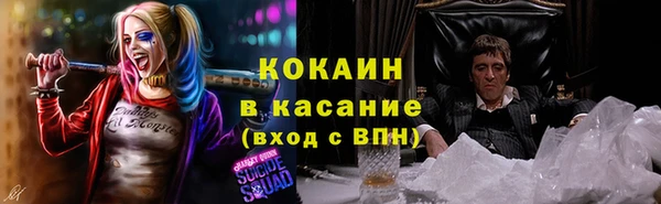 стафф Сясьстрой