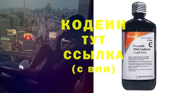 ГАЛЛЮЦИНОГЕННЫЕ ГРИБЫ Тавда