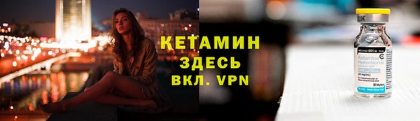 сатива Тайга