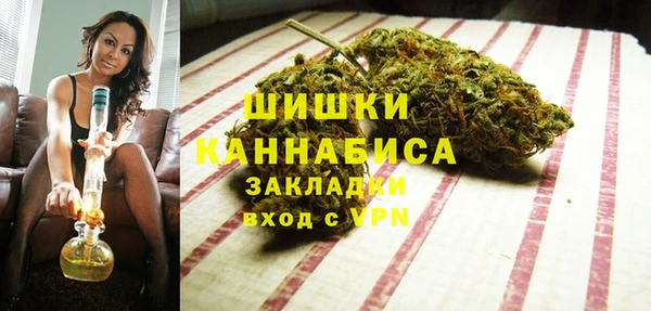 стафф Сясьстрой