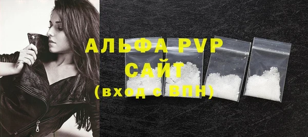 стафф Сясьстрой