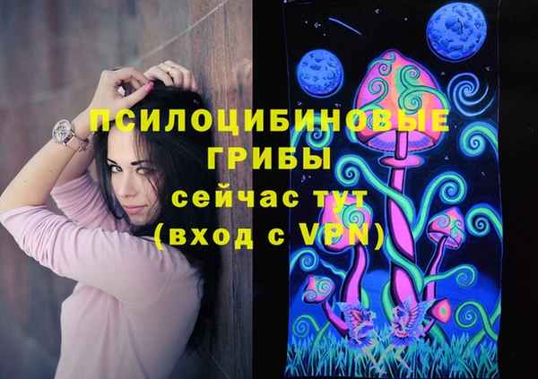 сатива Тайга