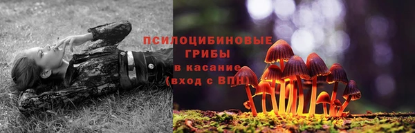 ГАЛЛЮЦИНОГЕННЫЕ ГРИБЫ Тавда